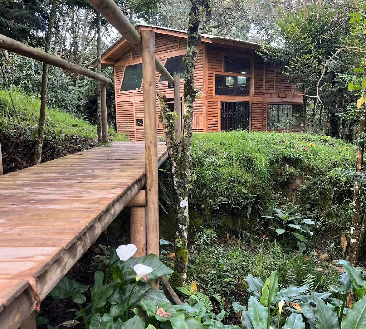 Alpstuga Cabin In The Woods Medellín Colombia
